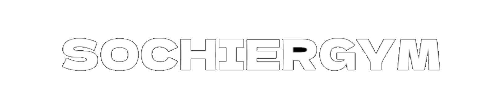 sochiergym